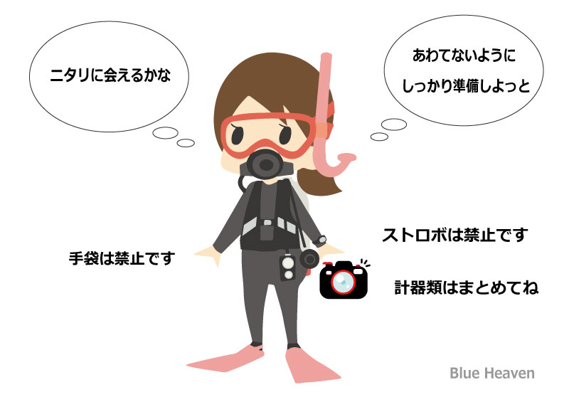 モナドショールのダイビングイメージ