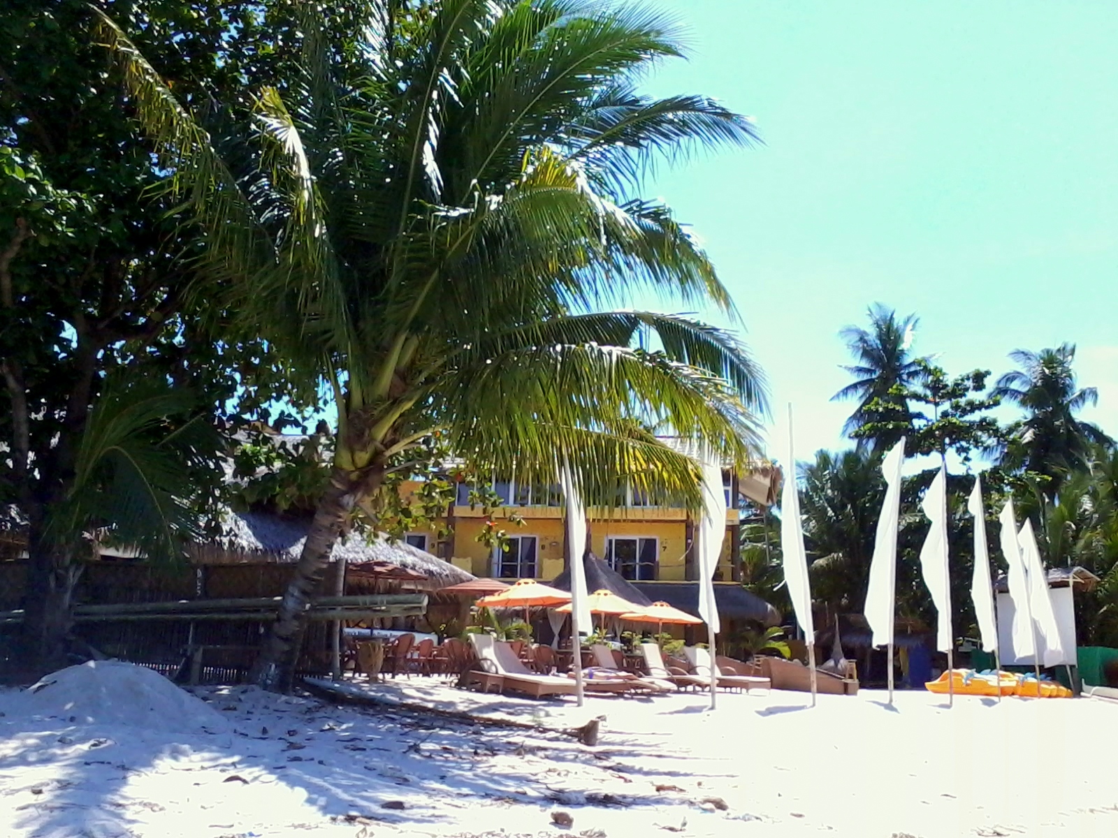 コカイズマルディト