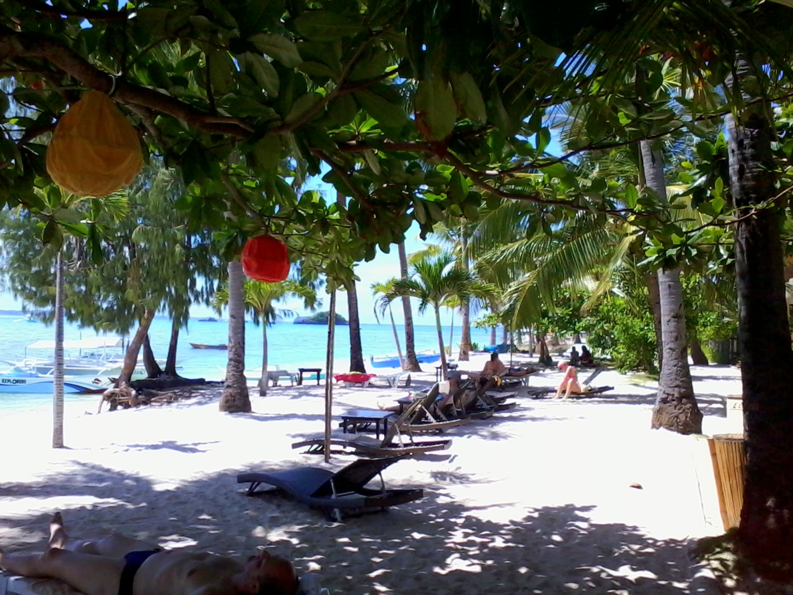 オーシャンビダ