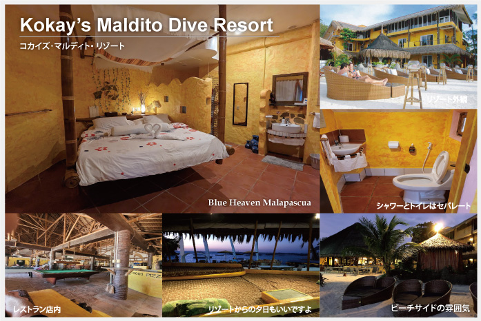 コカイズマルディトのイメージ写真