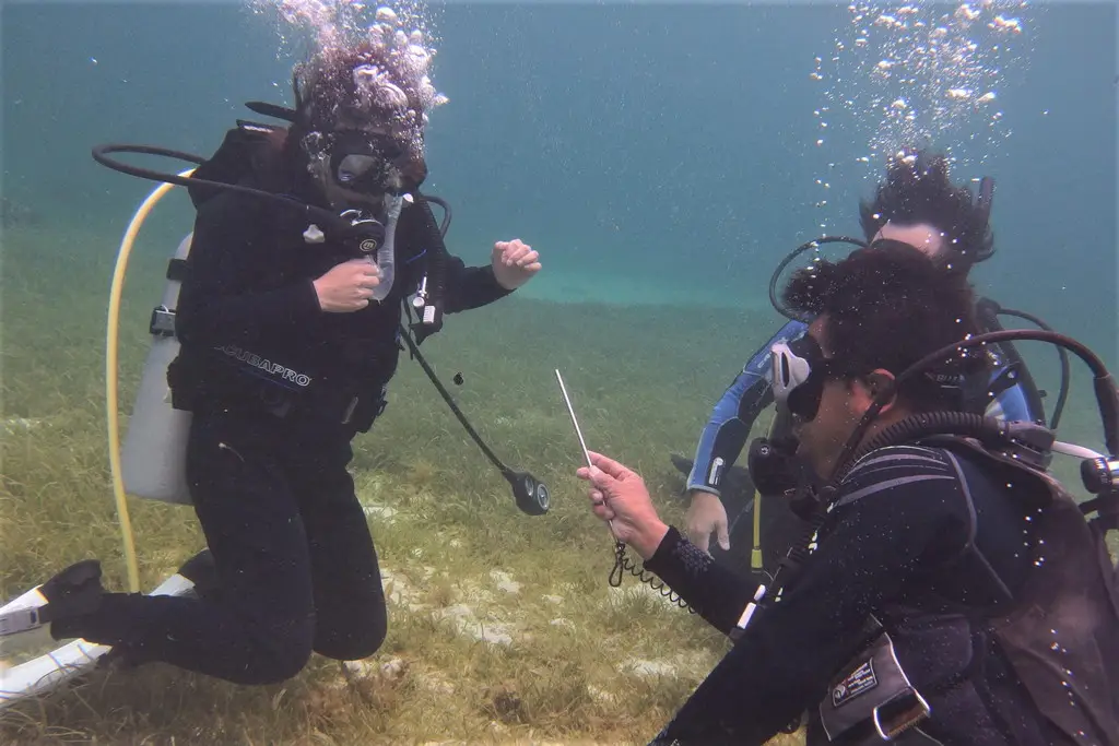 アドバンスドオープンウォーター