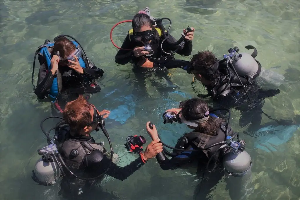 ダイブマスターコース