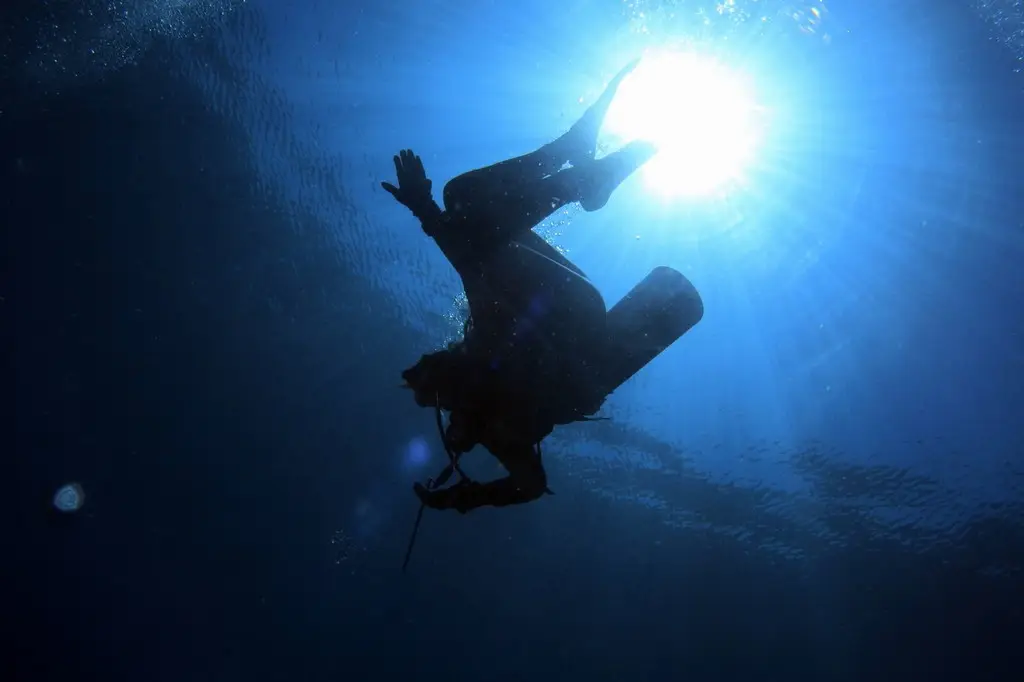 エンリッチドエアーダイバー