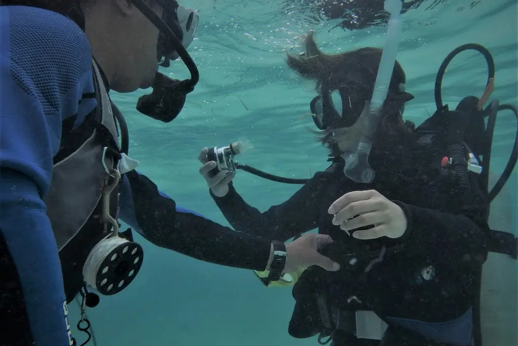 オープンウォーターダイバーコース